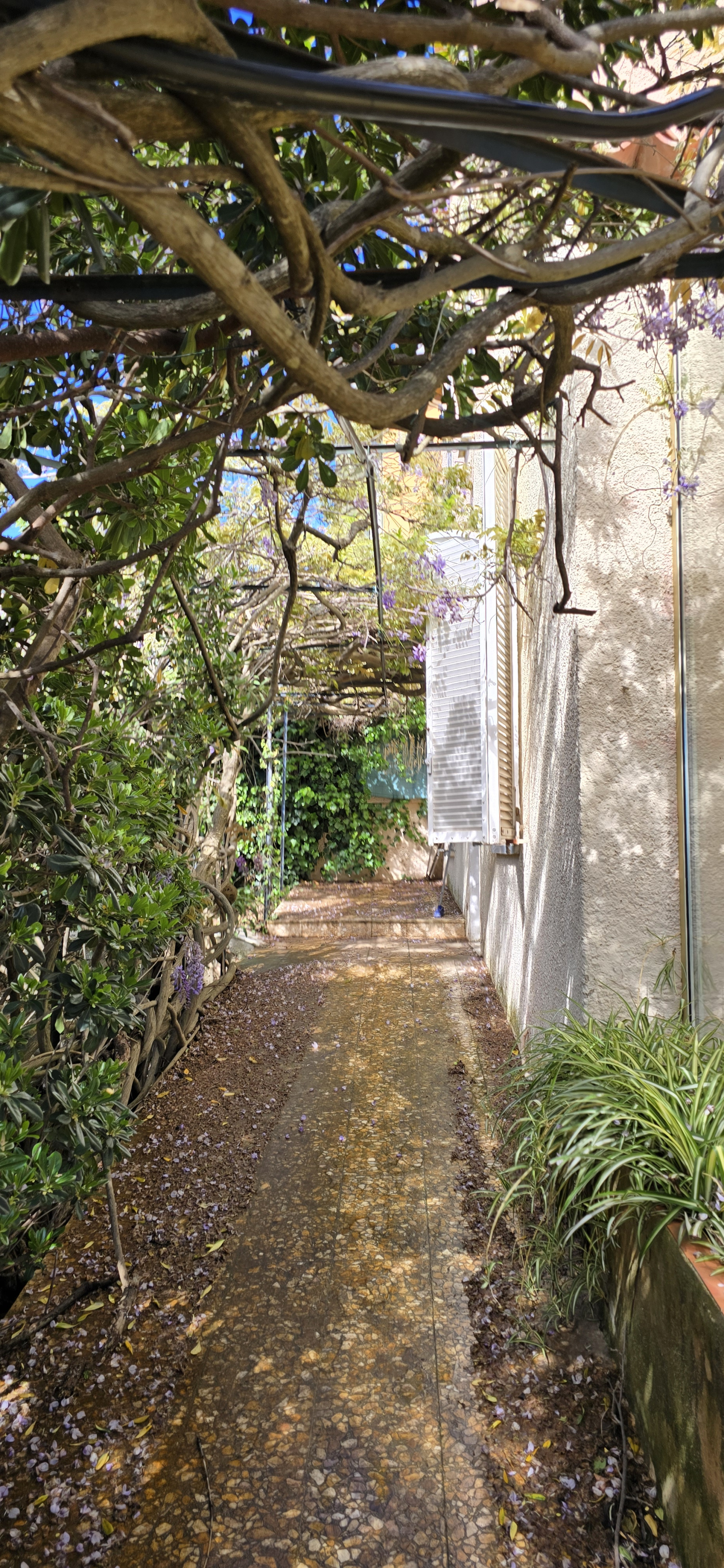 Image_, Rez de jardin, Nice, ref :rdjelt