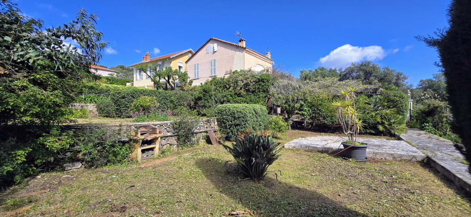 Image_, Rez de jardin, Nice, ref :rdjelt
