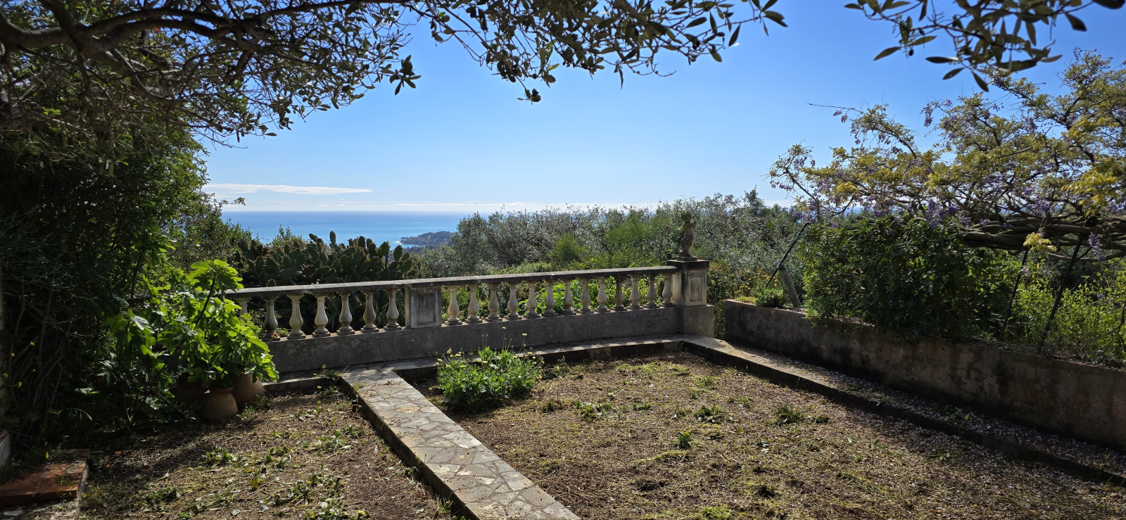 Image_, Rez de jardin, Nice, ref :rdjelt