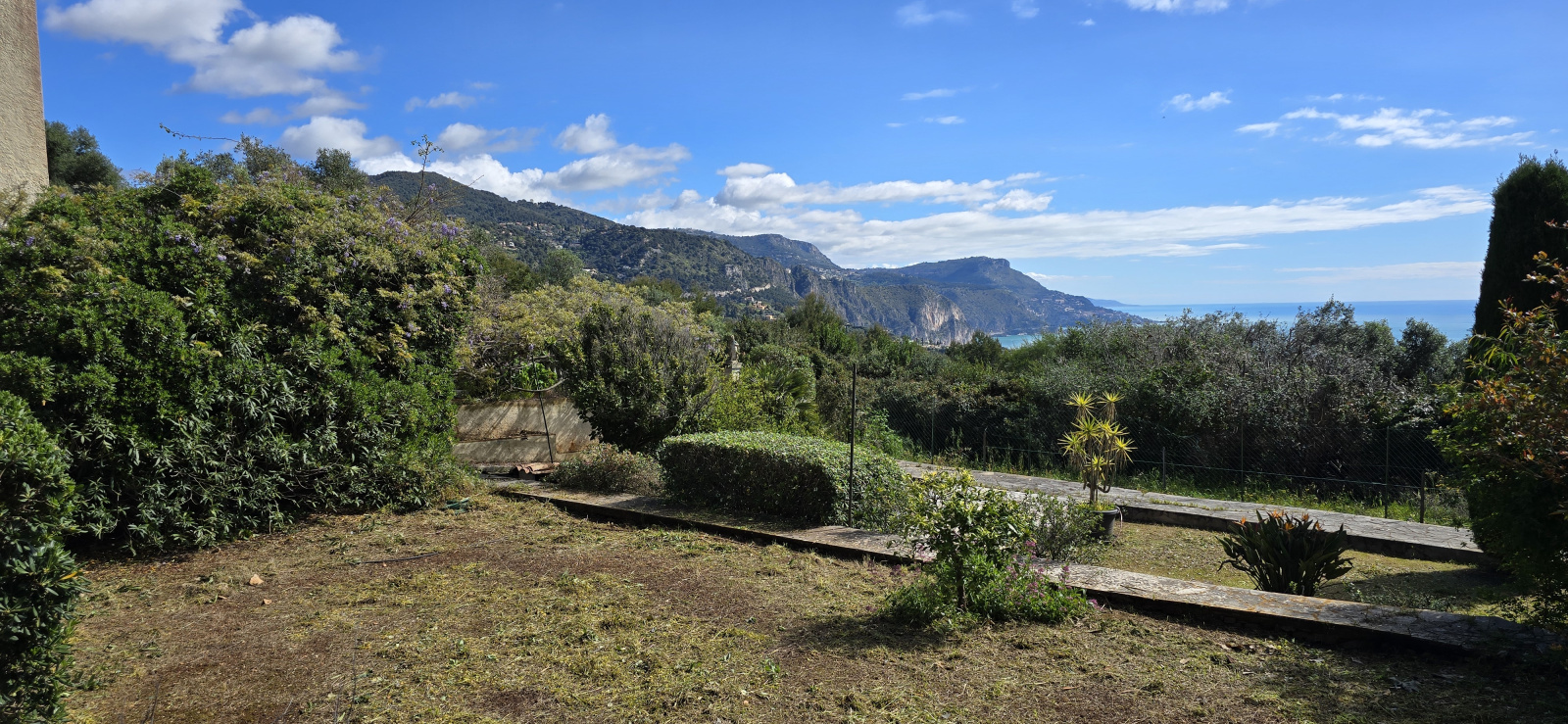 Image_, Rez de jardin, Nice, ref :rdjelt