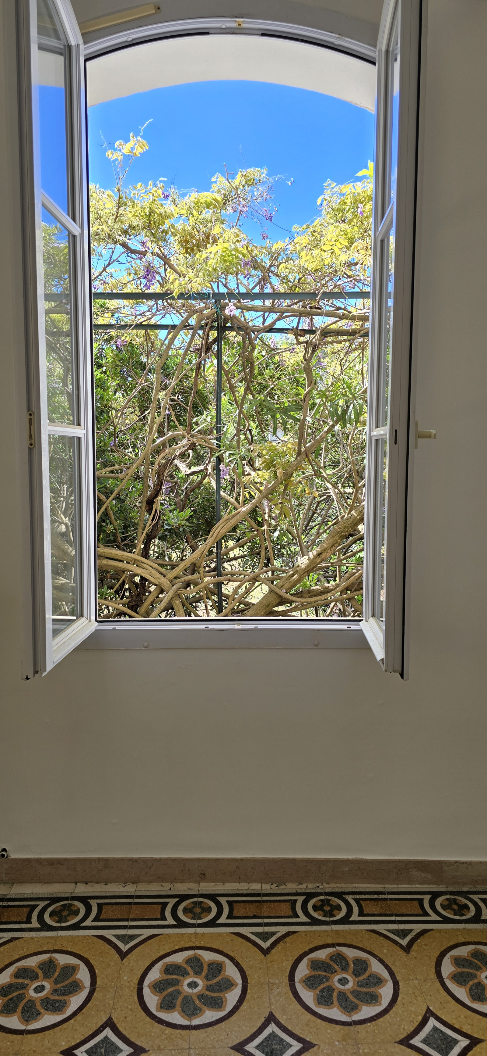 Image_, Rez de jardin, Nice, ref :rdjelt