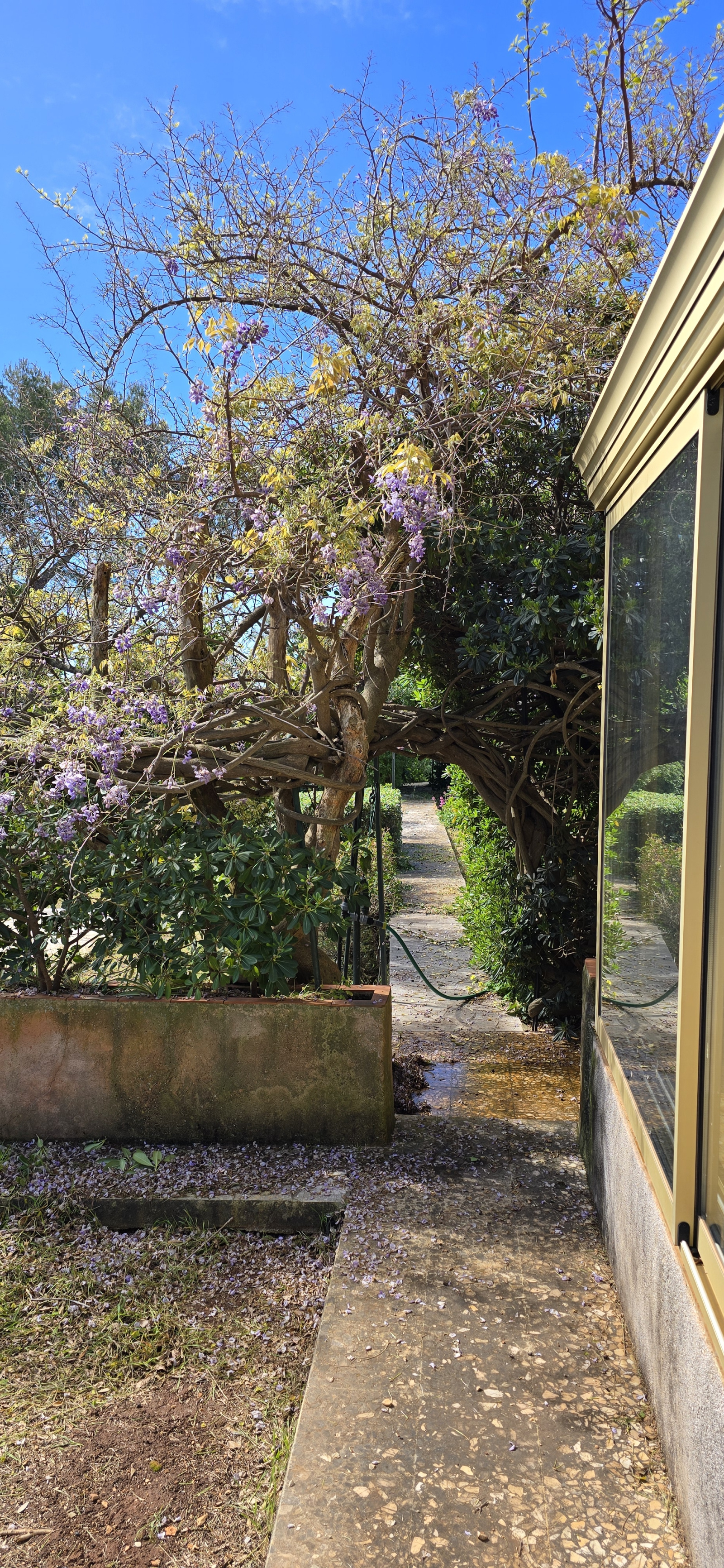 Image_, Rez de jardin, Nice, ref :rdjelt