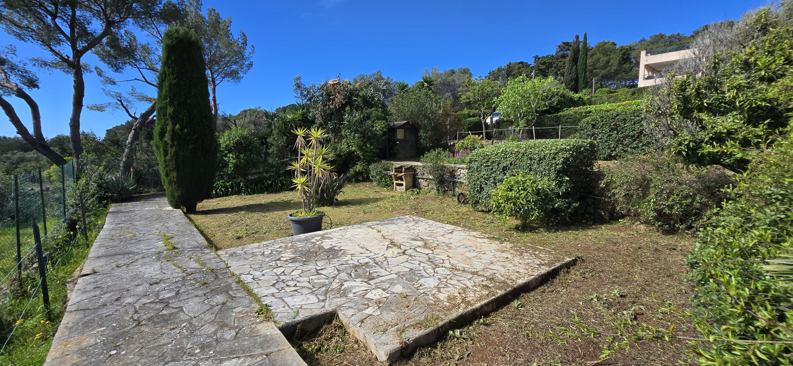 Image_, Rez de jardin, Nice, ref :rdjelt