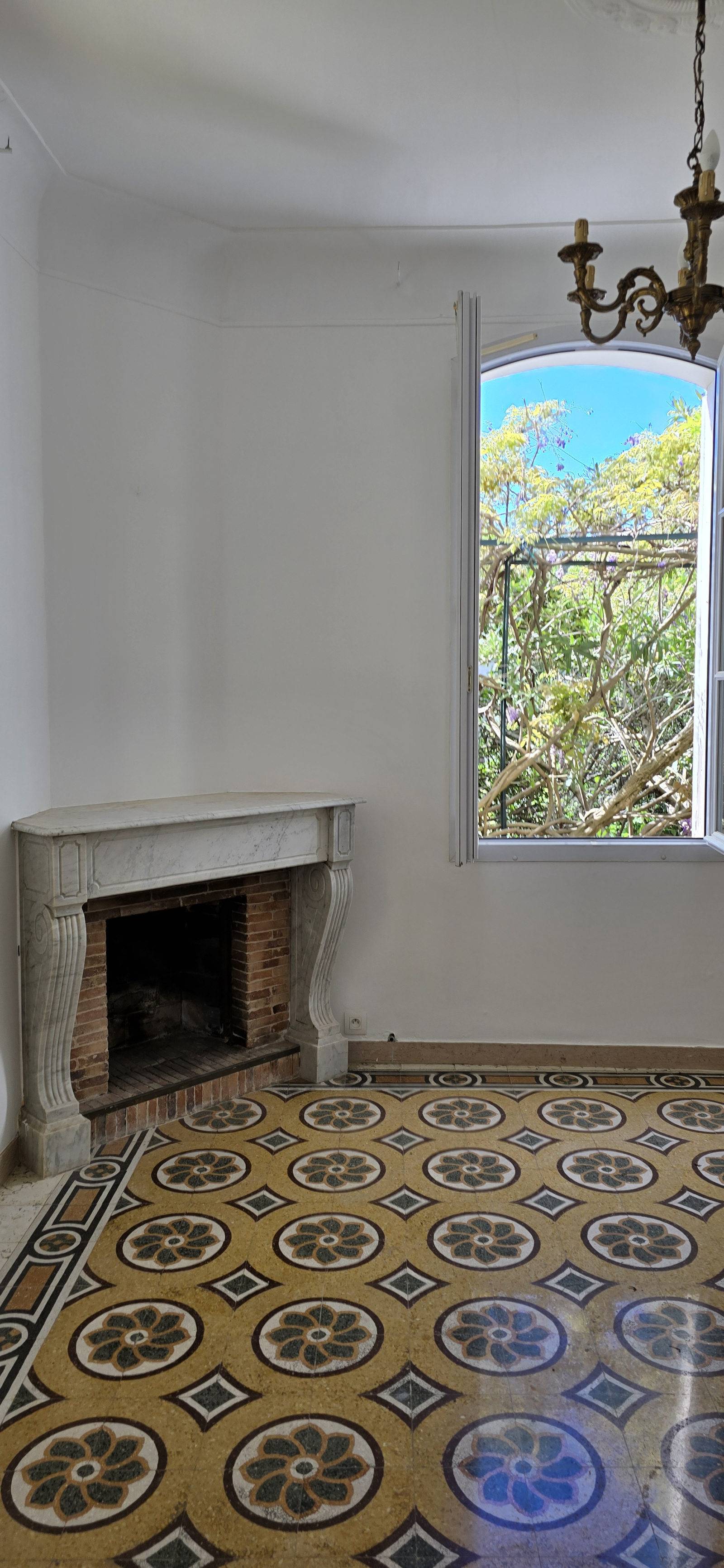 Image_, Rez de jardin, Nice, ref :rdjelt